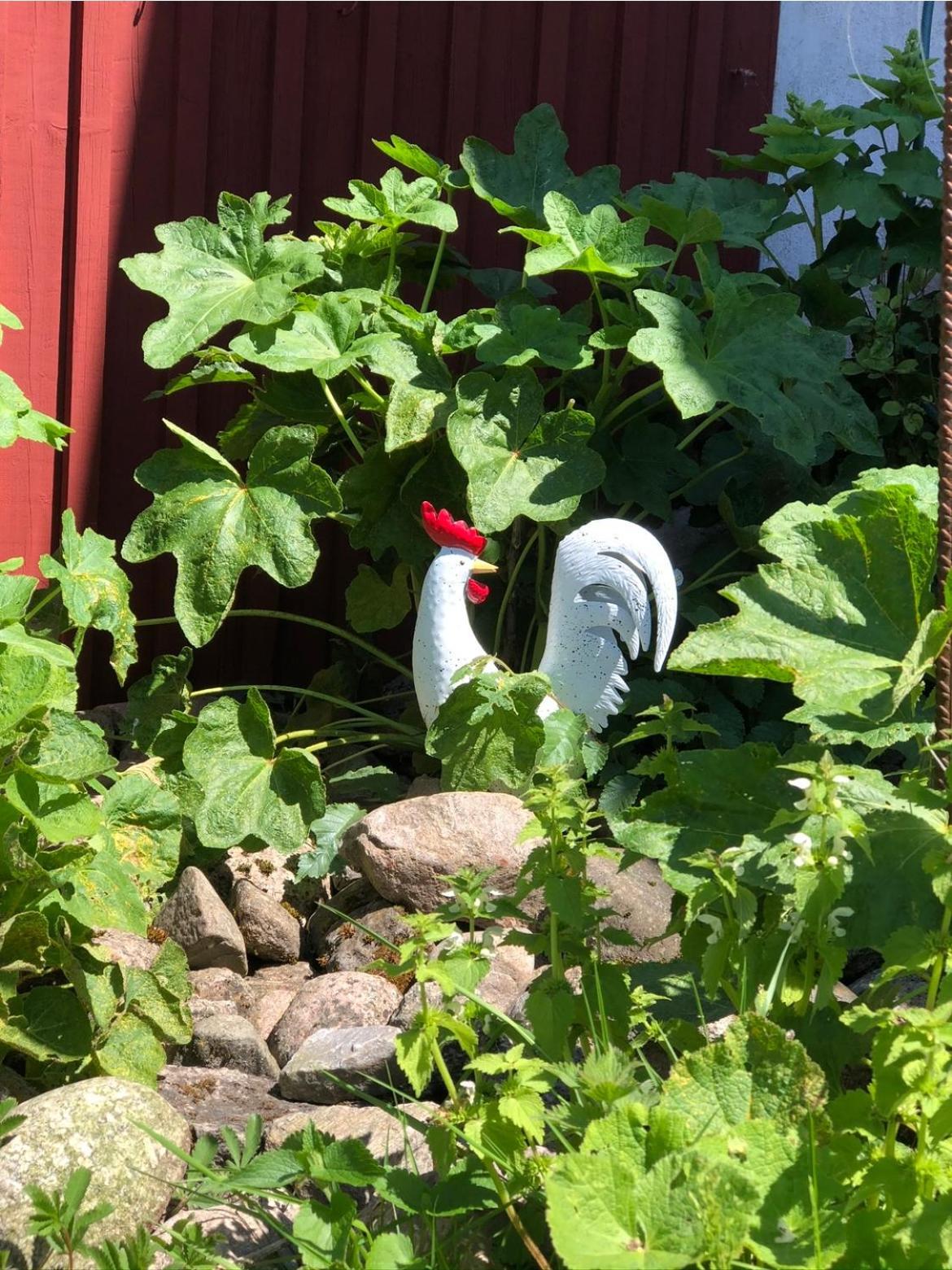 Ekenaes Gard Pa Oesterlen Kivik Exterior foto